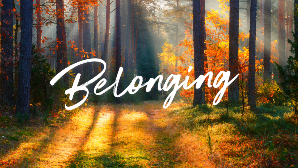 Belonging: Created for Connection Image